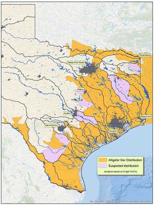 Texas Distributionmap4072014 