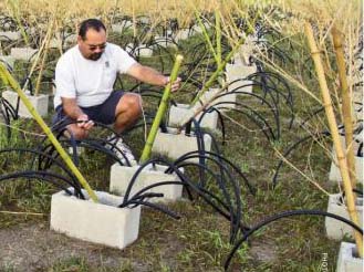 Man inserting tubes in cinder block