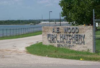 stone entry sign