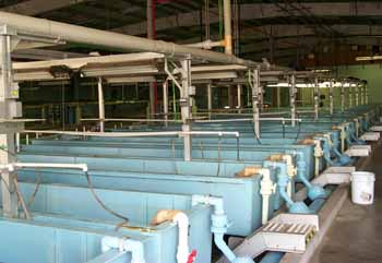 view of a long row of troughs