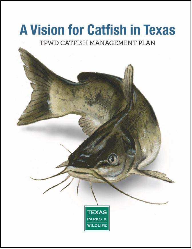 Cover of catfish plan