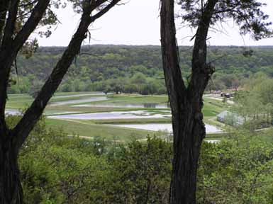 Long view of research ponds with trees in foreground