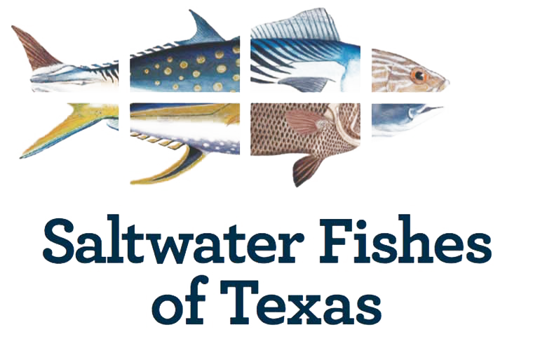 Saltwater Fishes of Texas Book