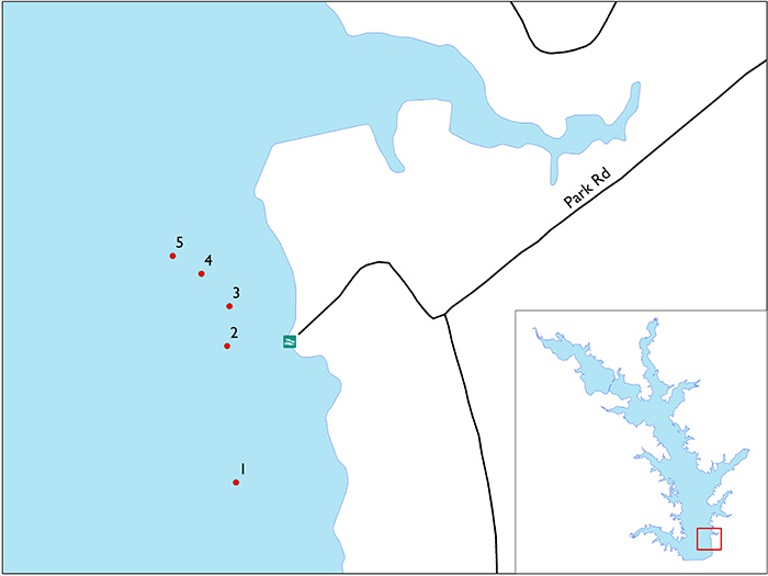 Lake Limestone Fishing Map Lake Limestone Access