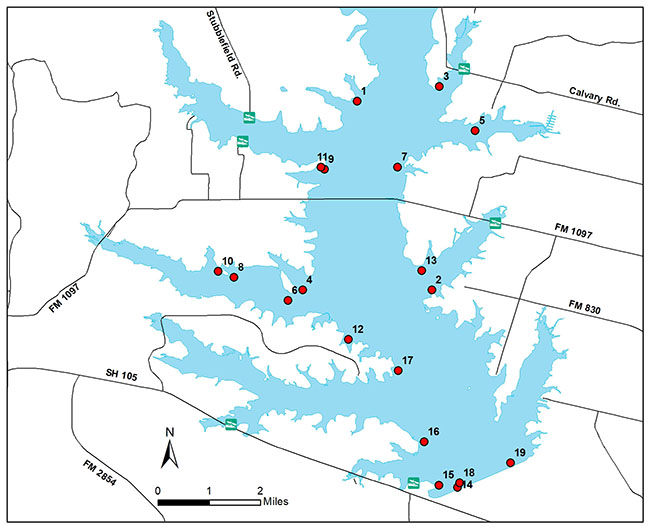 Map Of Lake Conroe Fishing Lake Conroe