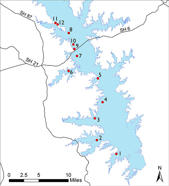 Lower end of lake showing locations of fish attractors