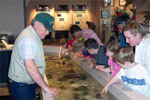 Touch tank