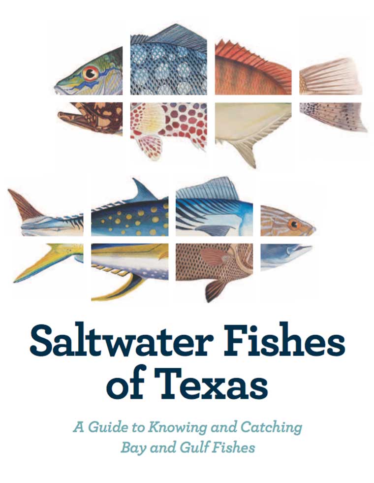 Saltwater Fishes of Texas Book