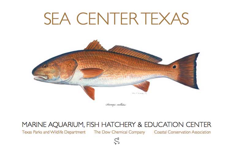 Sea Center Texas - TPWD