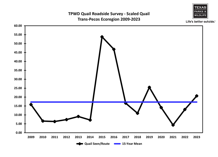 Trans-Pecos Scaled Quail chart