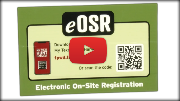 electronic on-site registration