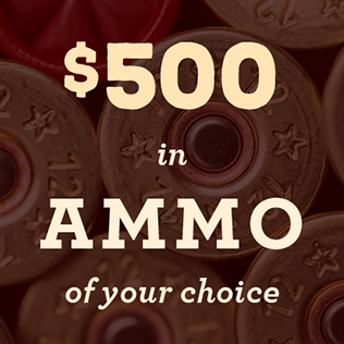 $500 in ammo