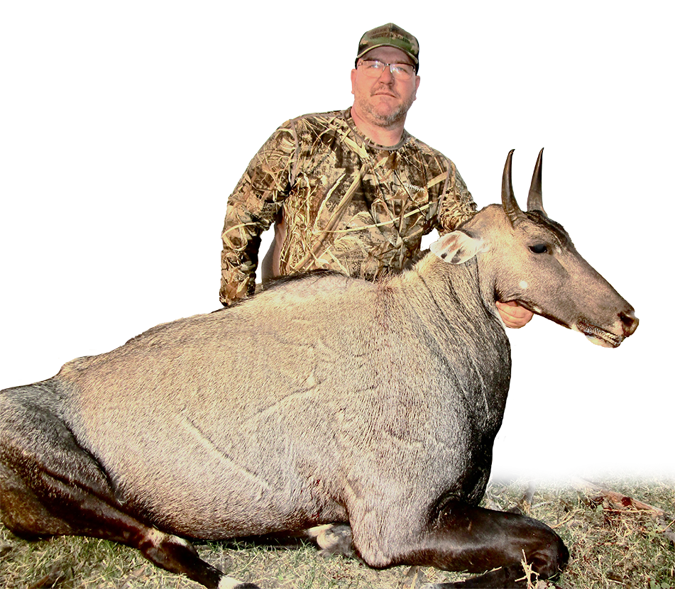 Nilgai Antelope Safari - Big Time Texas Hunts - TPWD