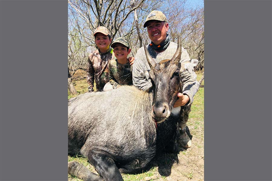 Nilgai Antelope Safari - Big Time Texas Hunts - TPWD