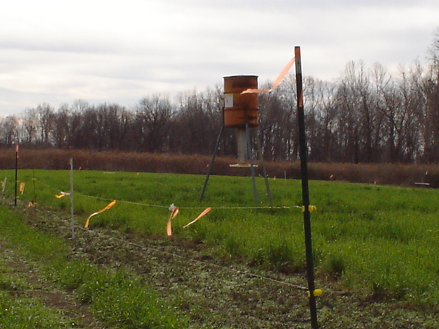Deer feeder surrounded by electric fence.