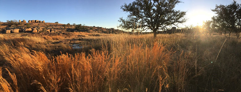 Mason Moutain Wildlife Management Area