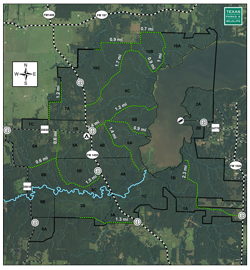 thumbnail image of arial map of Pat Mayse WMA hunt sites