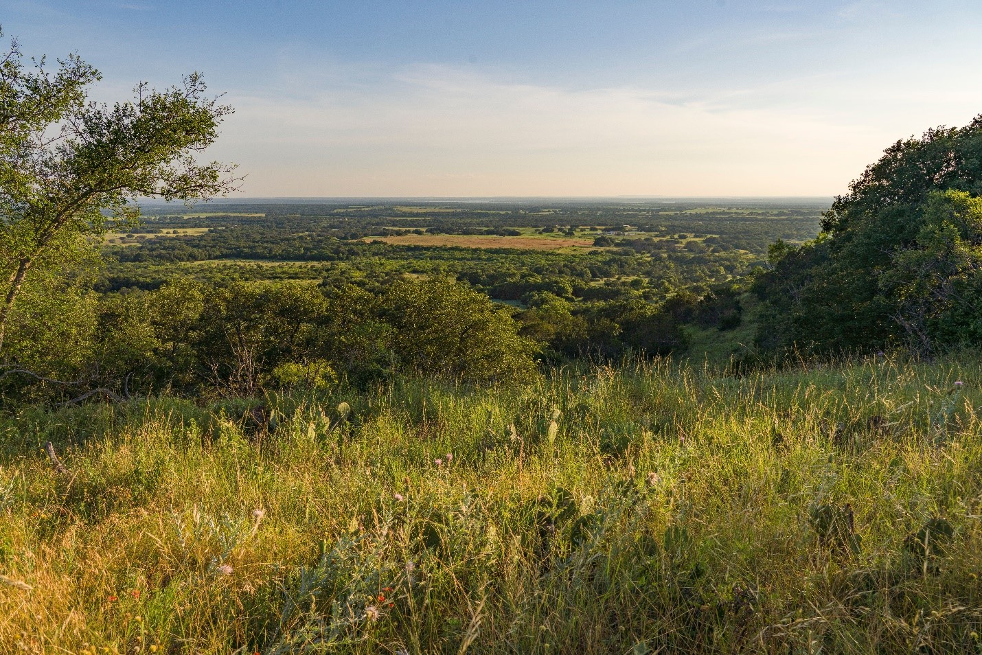 Burns WMA photo by Earl Nottingham