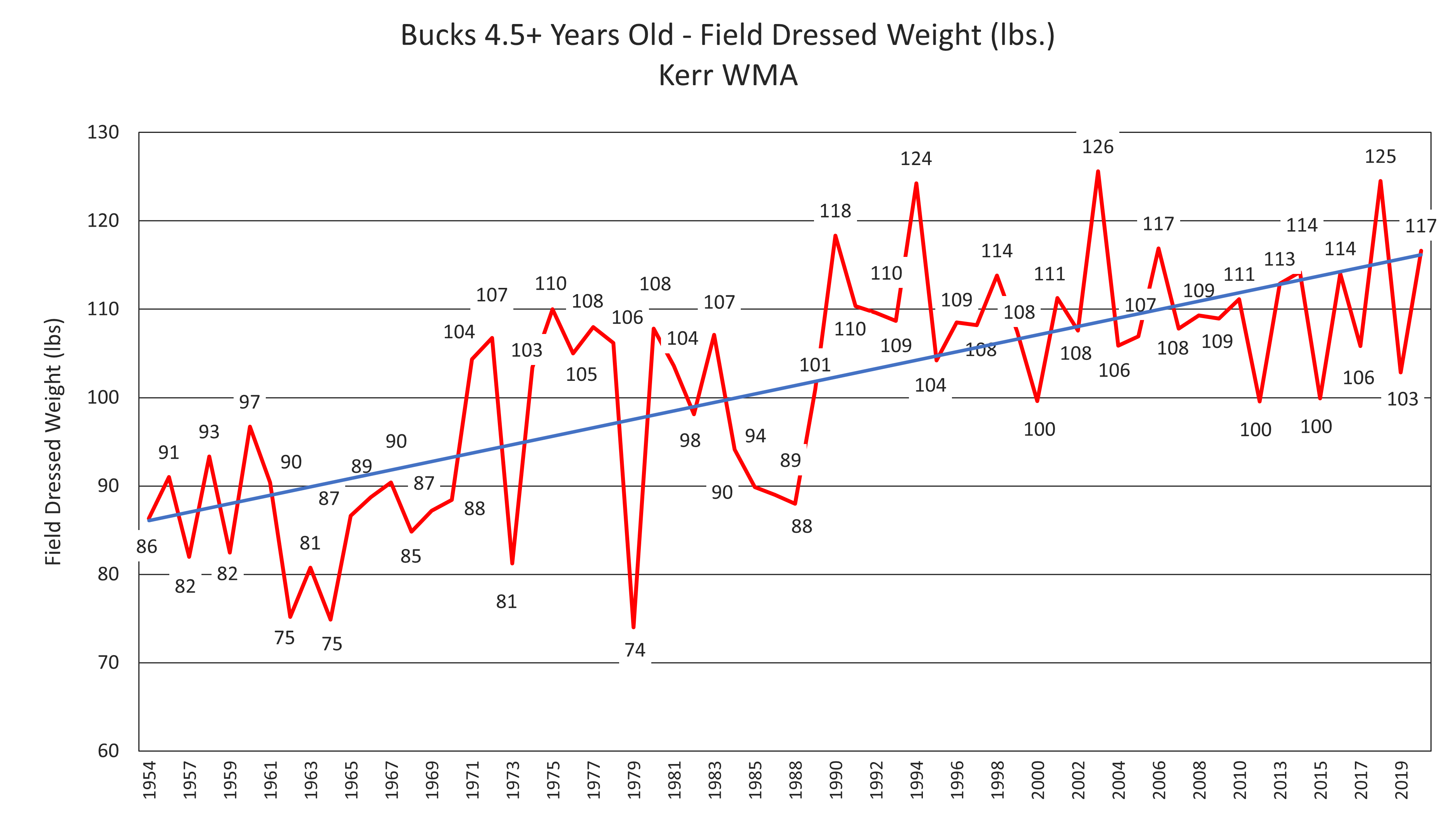 Chart showing the average 4.5-year-old-buck weights on Kerr WMA