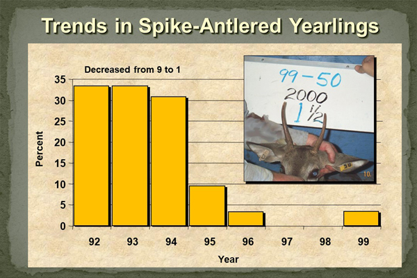 Stress Study Trends in Spike-Antlered Yearlings chart