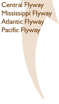 flyways toc