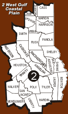 Texas Ecoregion Map; Region 2 -- West Gulf Coastal Plain; Counties Listed Below Image.