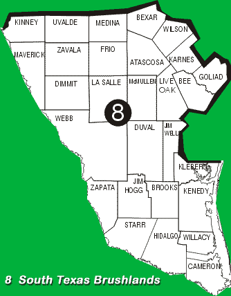 Texas Ecoregion Map; Region 8 -- South
	  Texas Brushlands; Counties Listed Below Image.