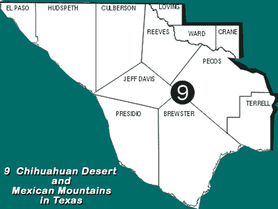 Texas Ecoregion Map; Region 9 -- Chihuahuan Desert and Mexican Mountains in Texas; Counties Listed Below Image.