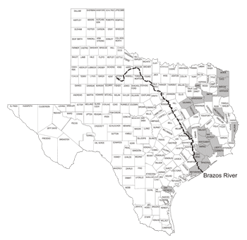Map of Texas Showing Counties for Henslow's Sparrow Sightings; links to larger map.