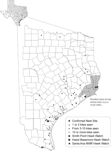 Map of Texas with area magnified showing where Swallow-tailed Kites occur most often.
