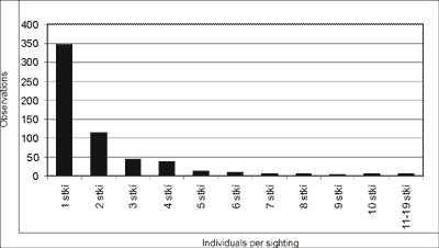 Bar chart of number of Swallow-tailed kites seen per sighting - Text interpretation below