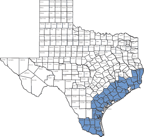 Map of Texas counties that were in the watch area.