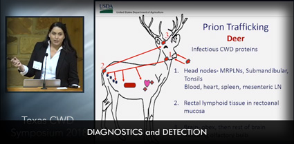 Diagnostics and Detection