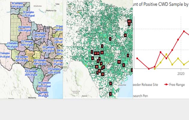 CWD Maps Metrics