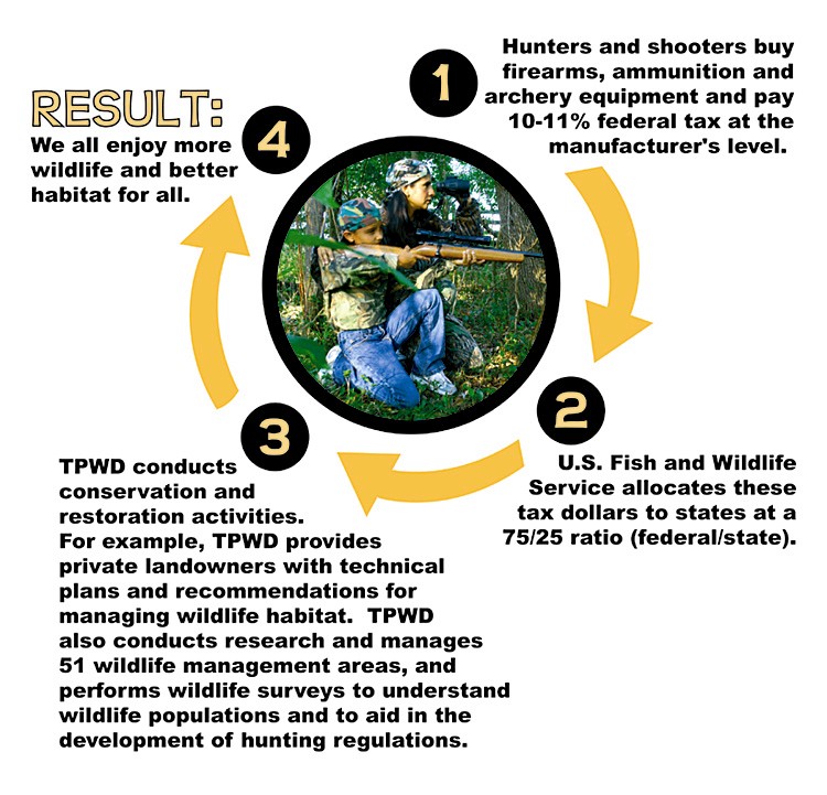 graphic showing the funding cycle in 4 steps