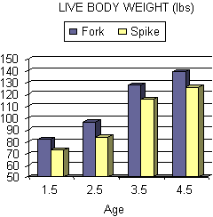 Graph for Live Body Weight