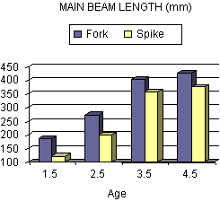 Graph for Main Beam Length
