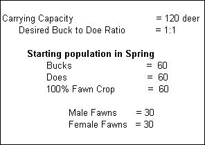1:1 Buck to Doe Ratio information graphic