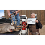 4.5-year-old mule deer buck harvested in Briscoe County