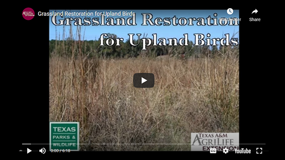 grassland restoration for upland birds video