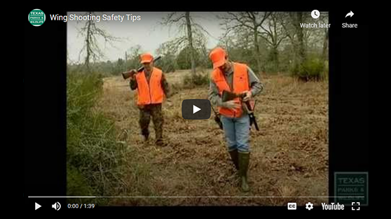 Wing Shooting Safety video