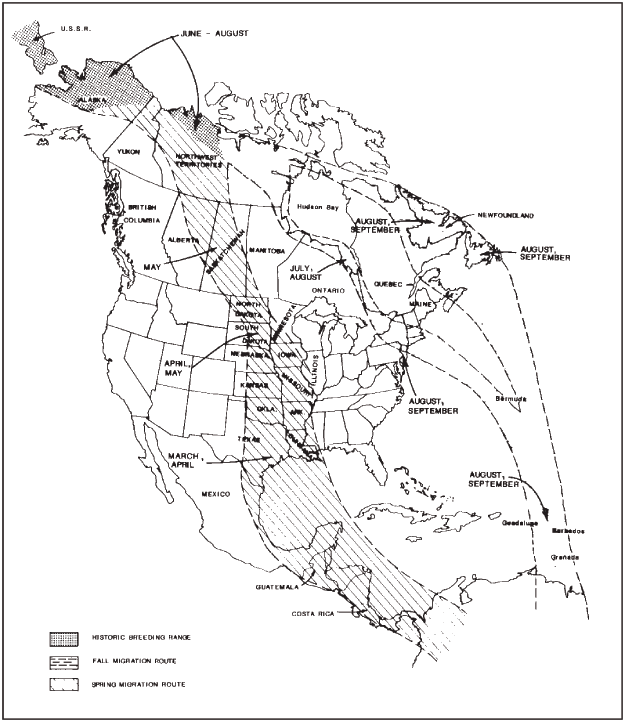 Distribution of the Eskimo Curlew (Numenius borealis)