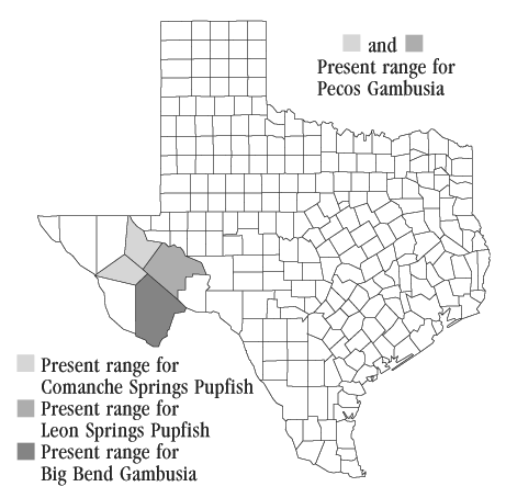 Distribution of the Pecos Gambusia (Gambusia nobilis)