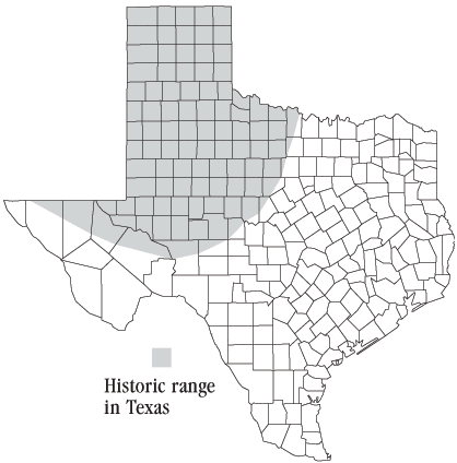 Distribution of the Black-footed Ferret (Mustela nigripes)