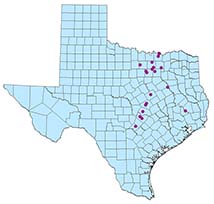 Link to map of Texas infestations