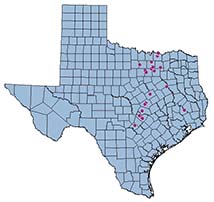 Link to map of Texas infestations