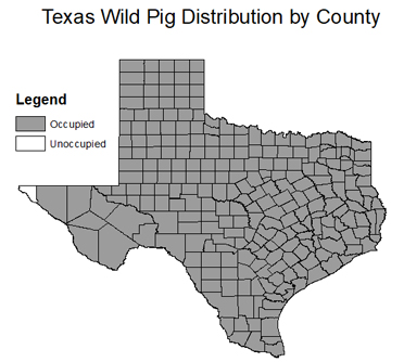 map of wild pig distribution in Texas showing El Paso county unoccupied.