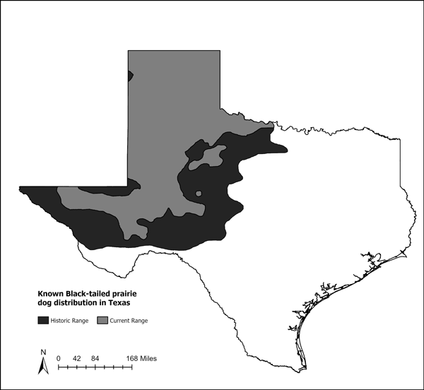 Prairie Dog distribution in Texas map