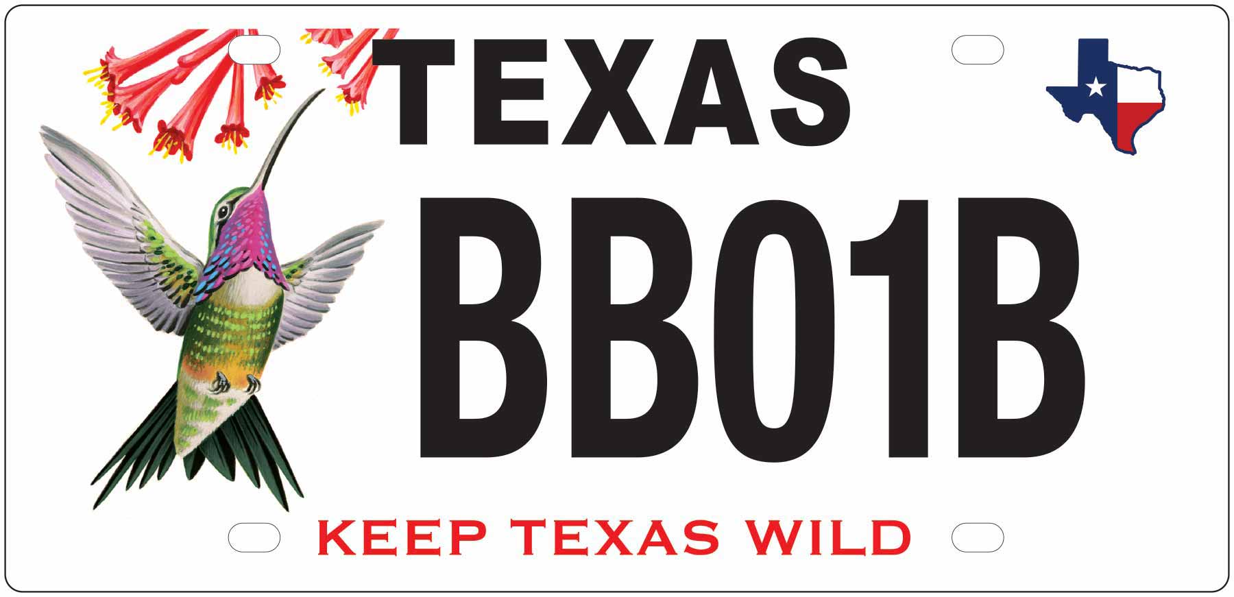 TPWD Hummingbird License Plate