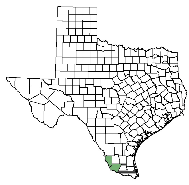 Distribution map of star cactus